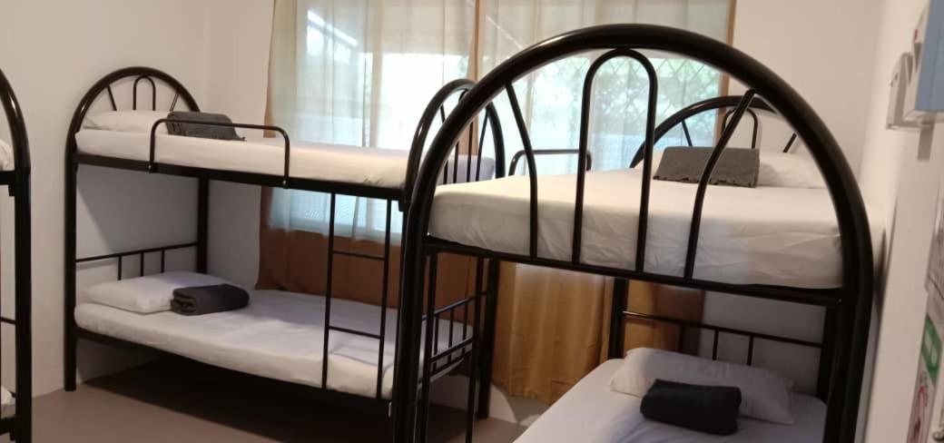 Karya Story Hostel กูดัต ภายนอก รูปภาพ