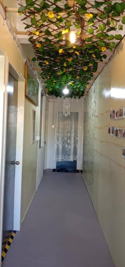 Karya Story Hostel กูดัต ภายนอก รูปภาพ